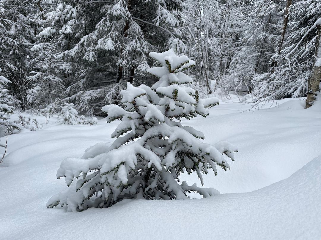 Februarbrev: Nye muligheter